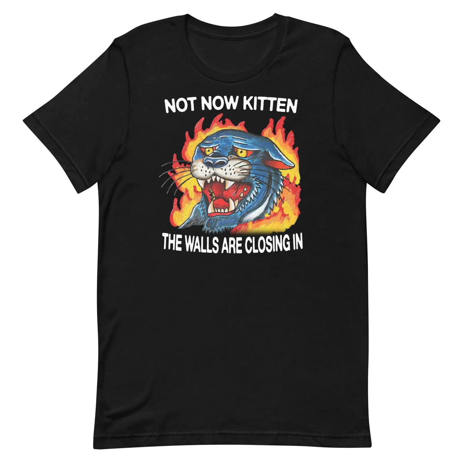 Not Now Kitten t shirt vintage - Vintage Fashion Now review and price